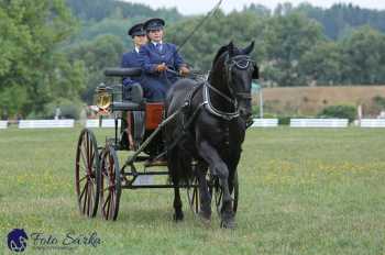Humpolec 2018 - Finále ZP spřežení
