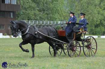 Humpolec 2018 - Finále ZP spřežení