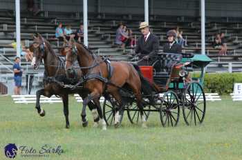 Humpolec 2018 - Finále ZP spřežení
