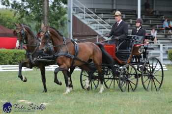 Humpolec 2018 - Finále ZP spřežení