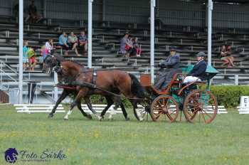 Humpolec 2018 - Finále ZP spřežení