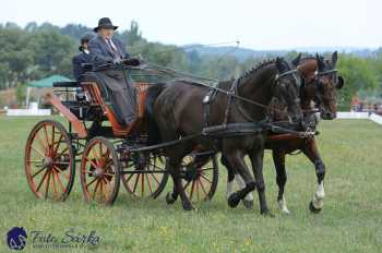 Humpolec 2018 - Finále ZP spřežení