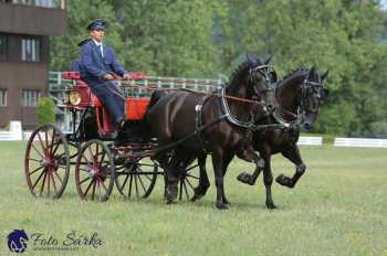 Humpolec 2018 - Finále ZP spřežení