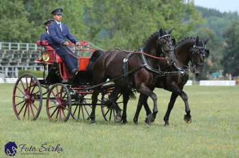 Humpolec 2018 - Finále ZP spřežení