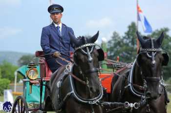 Humpolec 2018 - Finále ZP spřežení