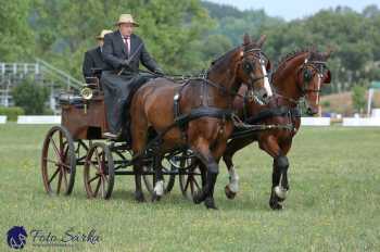 Humpolec 2018 - Finále ZP spřežení