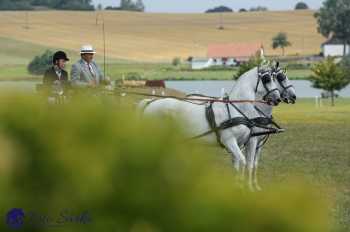 Humpolec 2018 - Finále ZP spřežení