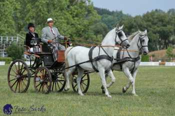 Humpolec 2018 - Finále ZP spřežení