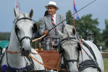 Humpolec 2018 - Finále ZP spřežení