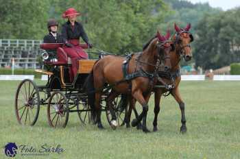 Humpolec 2018 - Finále ZP spřežení