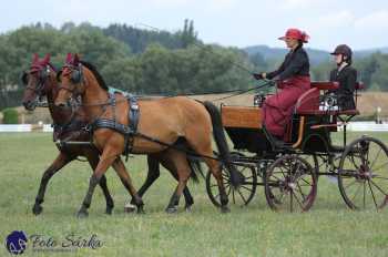 Humpolec 2018 - Finále ZP spřežení