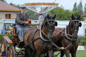 Humpolec 2018 - Finále ZP spřežení