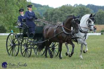 Humpolec 2018 - Finále ZP spřežení