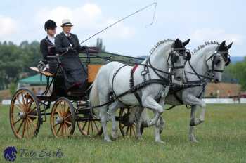 Humpolec 2018 - Finále ZP spřežení