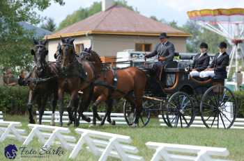 Humpolec 2018 - Finále ZP spřežení