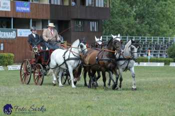 Humpolec 2018 - Finále ZP spřežení