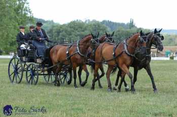 Humpolec 2018 - Finále ZP spřežení