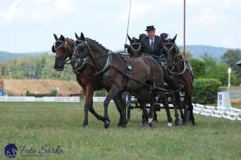 Humpolec 2018 - Finále ZP spřežení