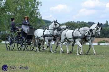 Humpolec 2018 - Finále ZP spřežení