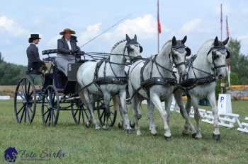 Humpolec 2018 - Finále ZP spřežení