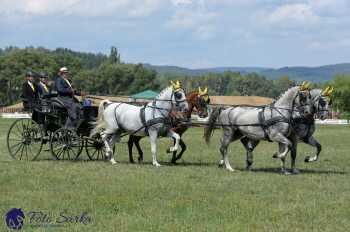 Humpolec 2018 - Finále ZP spřežení