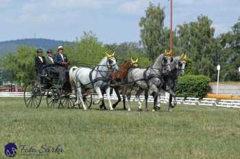 Humpolec 2018 - Finále ZP spřežení