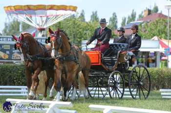 Humpolec 2018 - Finále ZP spřežení