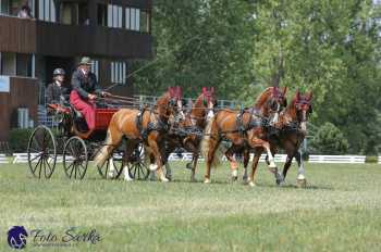 Humpolec 2018 - Finále ZP spřežení