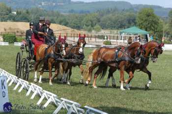 Humpolec 2018 - Finále ZP spřežení