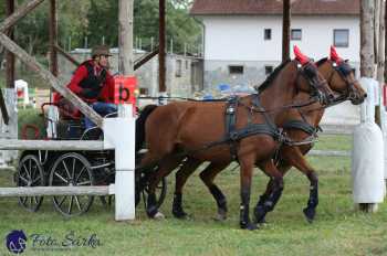 Humpolec 2018 - Finále ZP spřežení