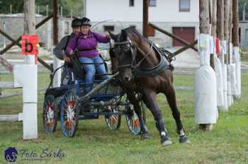 Humpolec 2018 - Finále ZP spřežení