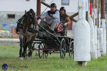 Humpolec 2018 - Finále ZP spřežení