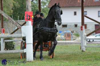 Humpolec 2018 - Finále ZP spřežení