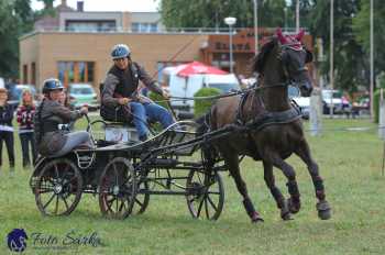 Humpolec 2018 - Finále ZP spřežení