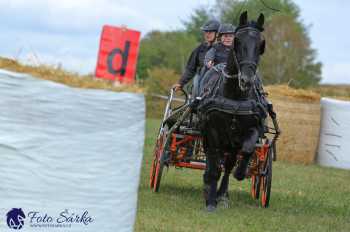 Humpolec 2018 - Finále ZP spřežení