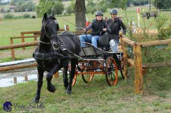 Humpolec 2018 - Finále ZP spřežení