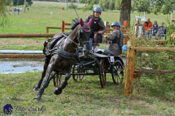 Humpolec 2018 - Finále ZP spřežení