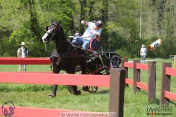 Kladruby 2018 - maraton sobota