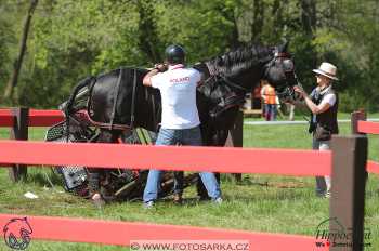 Kladruby 2018 - maraton sobota