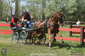 Kladruby 2018 - maraton sobota