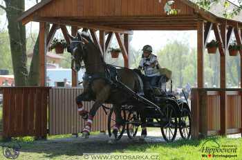 Kladruby 2018 - maraton sobota