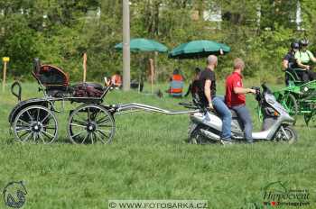 Kladruby 2018 - maraton sobota