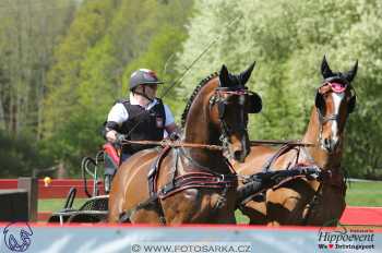 Kladruby 2018 - maraton sobota