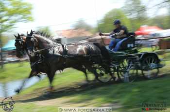 Kladruby 2018 - maraton sobota