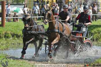 Kladruby 2018 - maraton sobota