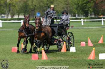 Kladruby 2018 - neděle parkur