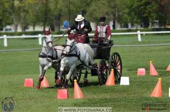 Kladruby 2018 - neděle parkur