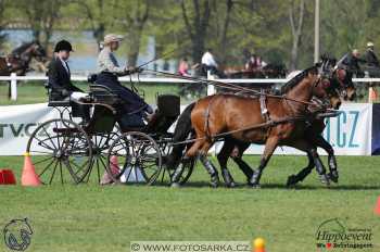 Kladruby 2018 - neděle parkur