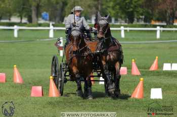 Kladruby 2018 - neděle parkur