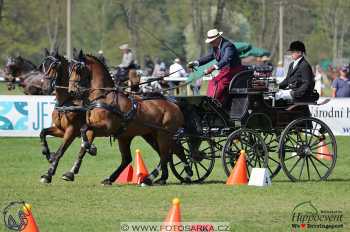 Kladruby 2018 - neděle parkur